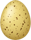 egg